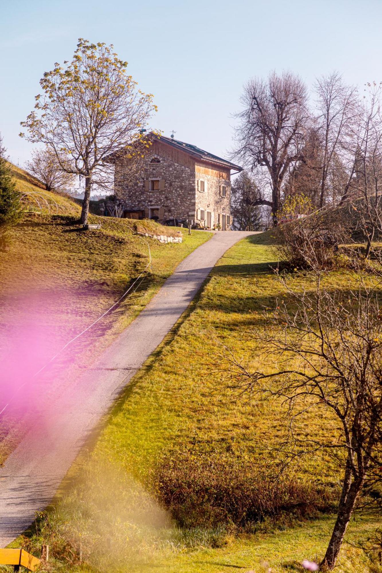 B&B Ai Marchetini Cinte Tesino Exteriér fotografie